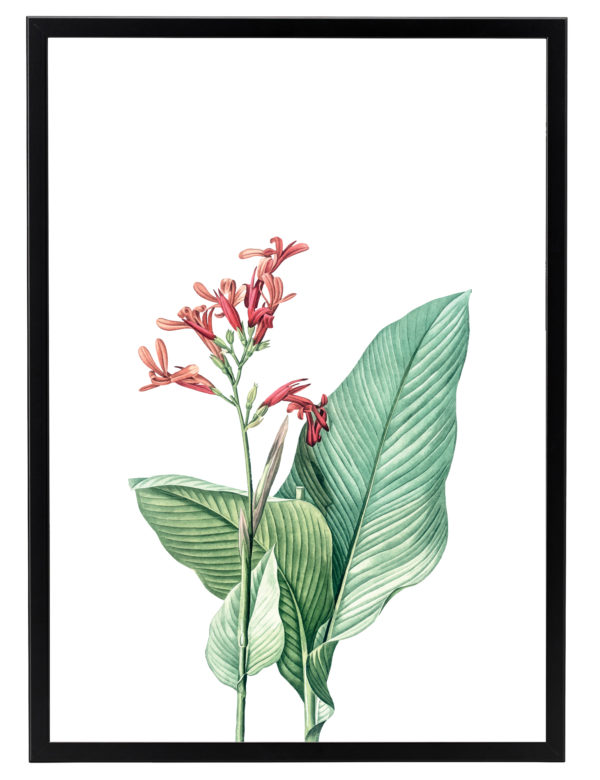 Nuestras láminas decorativas Botánica - Wasabi Project