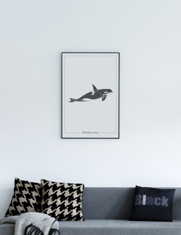 Lámina decorativa Ilustración Orca con marco negro